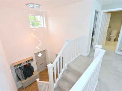 Picture 19